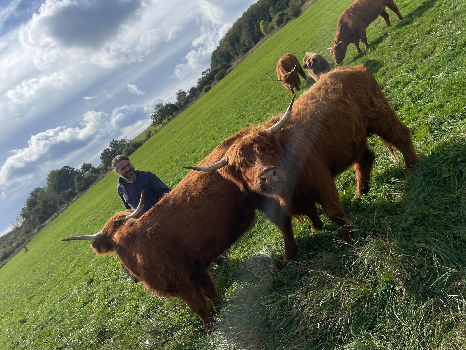 Frank Haberstock bei seinen Highland Cattle auf der Weide des Gelbachhofs