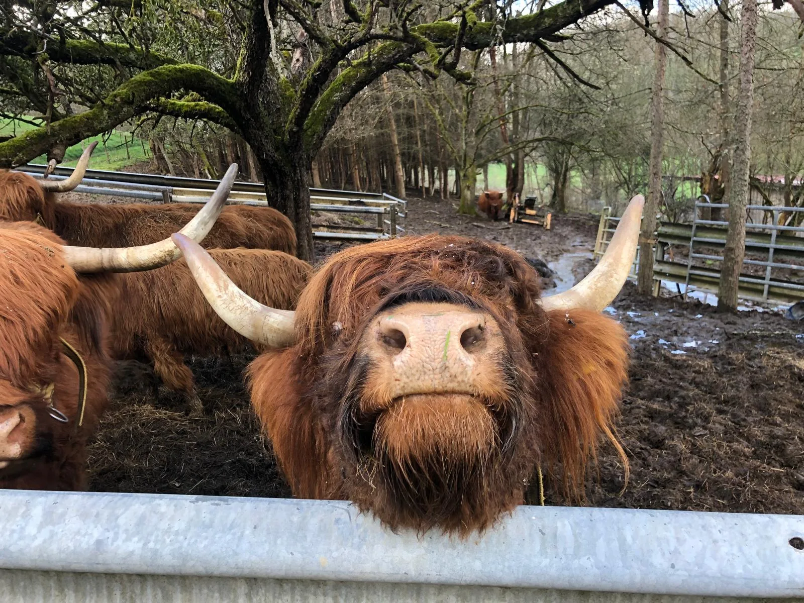Impression vom Gelbachhof