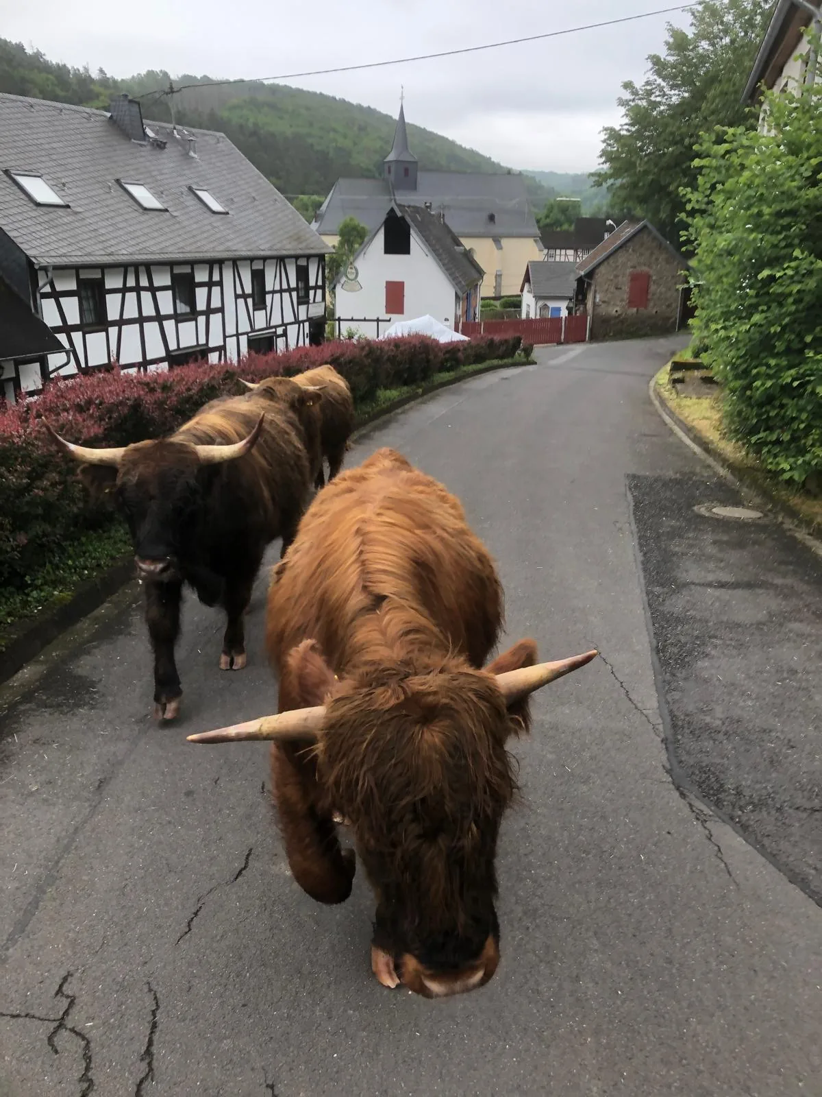 Impression vom Gelbachhof