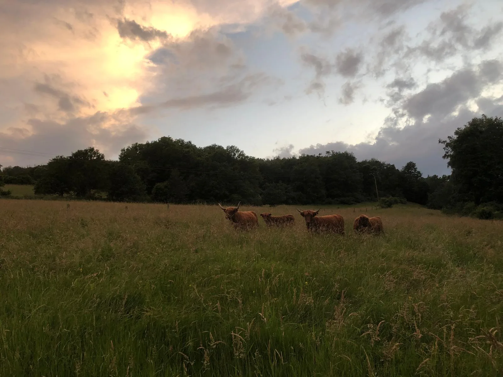 Impression vom Gelbachhof