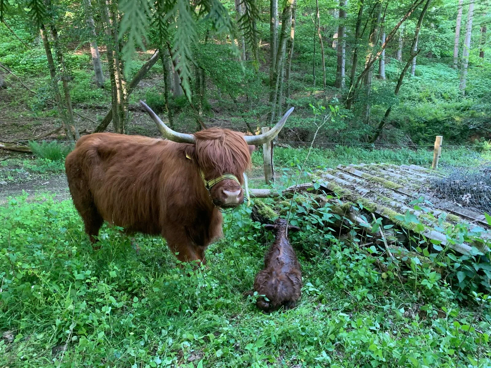 Impression vom Gelbachhof