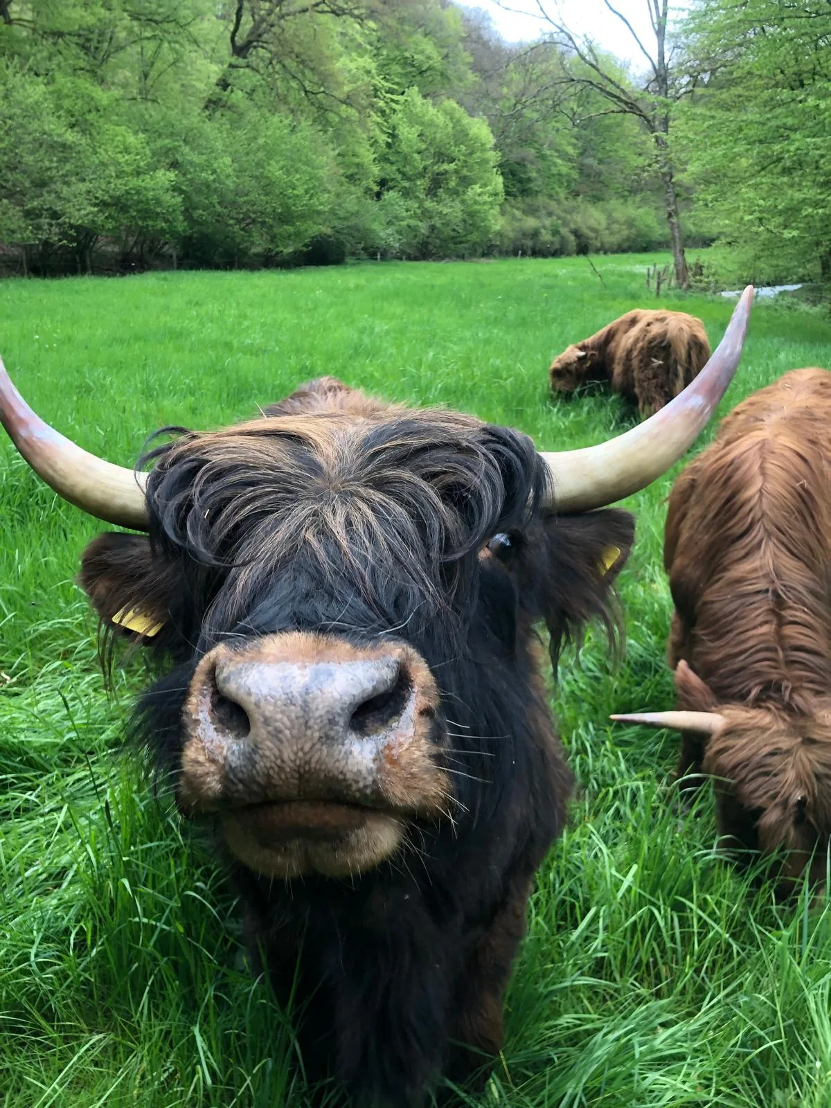 Impression vom Gelbachhof